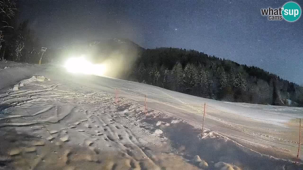 RTC Skigebiet Kranjska Gora | Brsnina