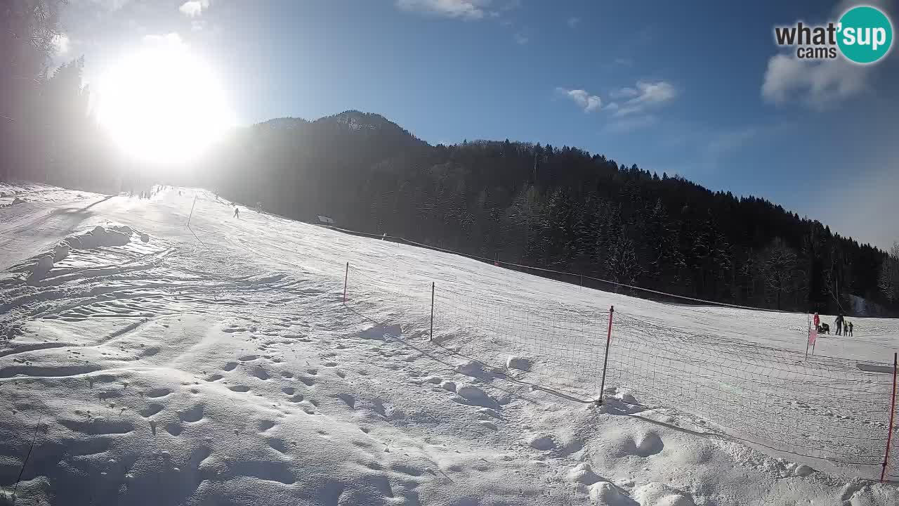 Comprensorio sciistico Kranjska Gora | Brsnina