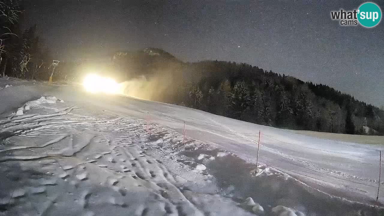 Ski Kranjska Gora | Brsnina