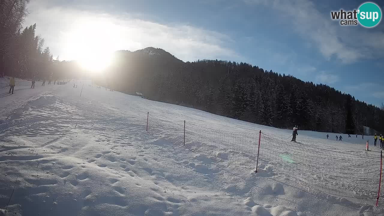 RTC Skigebiet Kranjska Gora | Brsnina