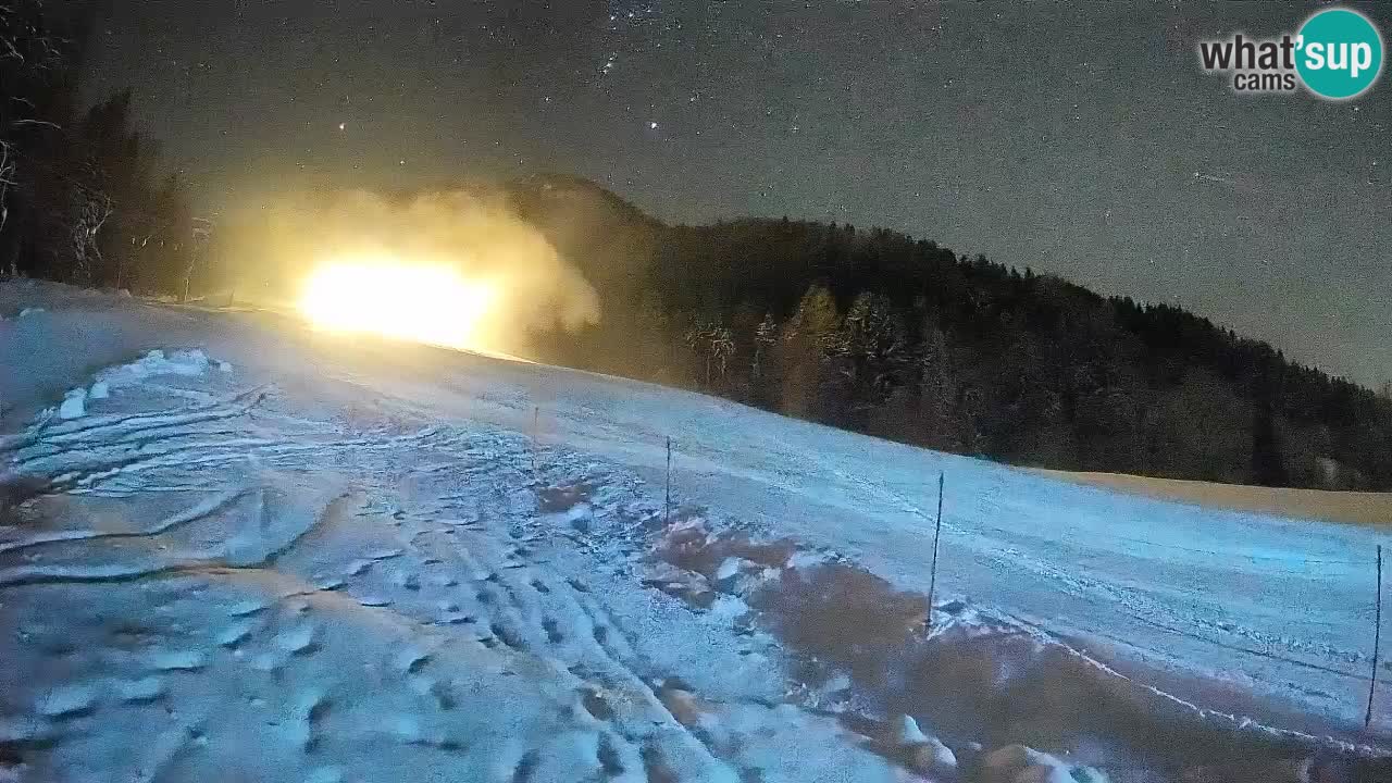 Esquí Kranjska Gora | Brsnina