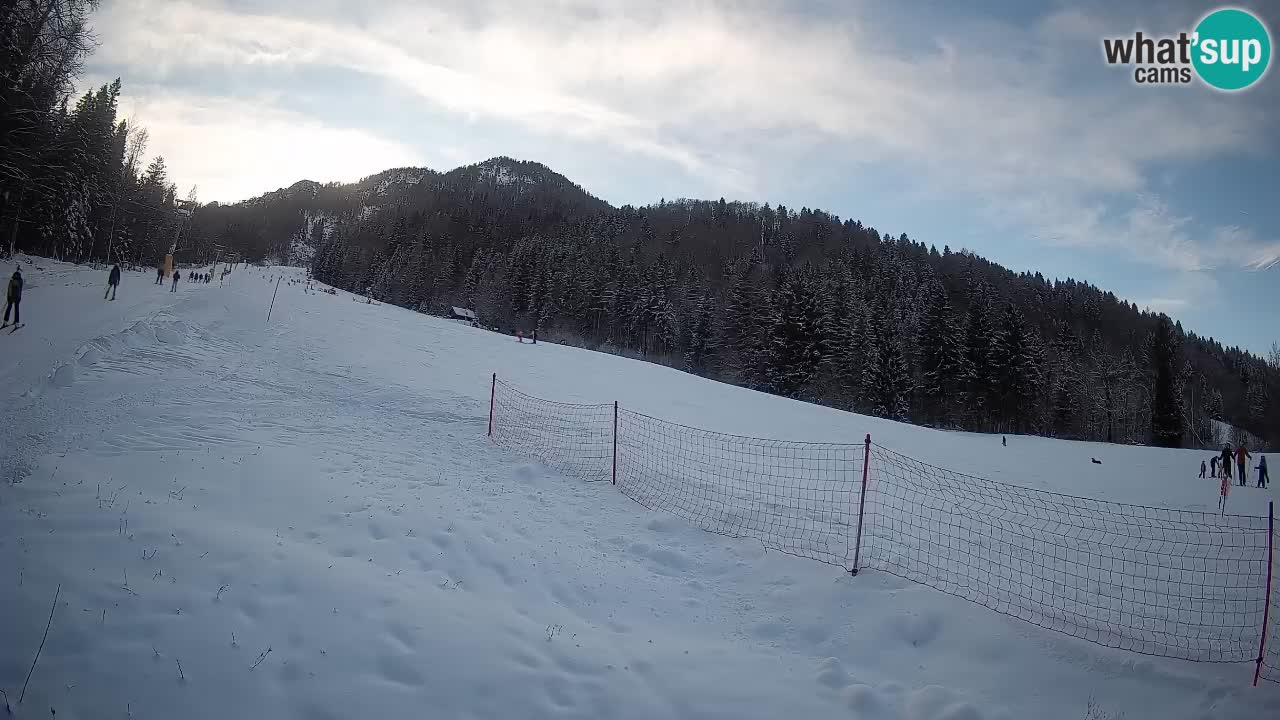 RTC Skigebiet Kranjska Gora | Brsnina