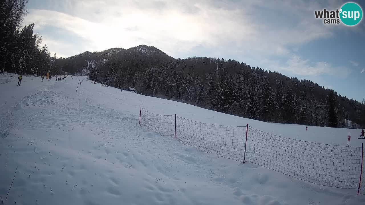 Comprensorio sciistico Kranjska Gora | Brsnina