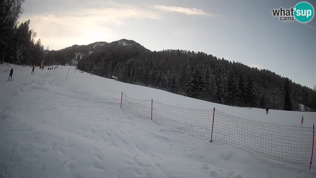 Comprensorio sciistico Kranjska Gora | Brsnina