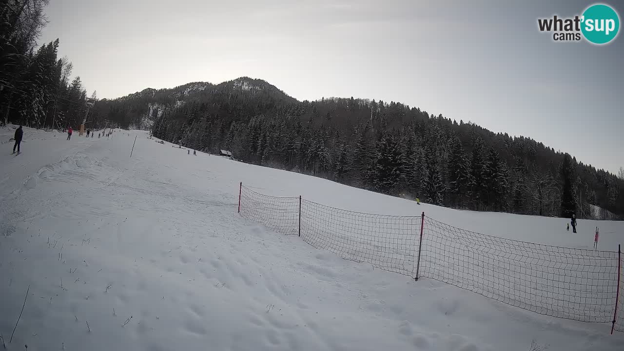 Kranjska Gora Station de ski | Brsnina