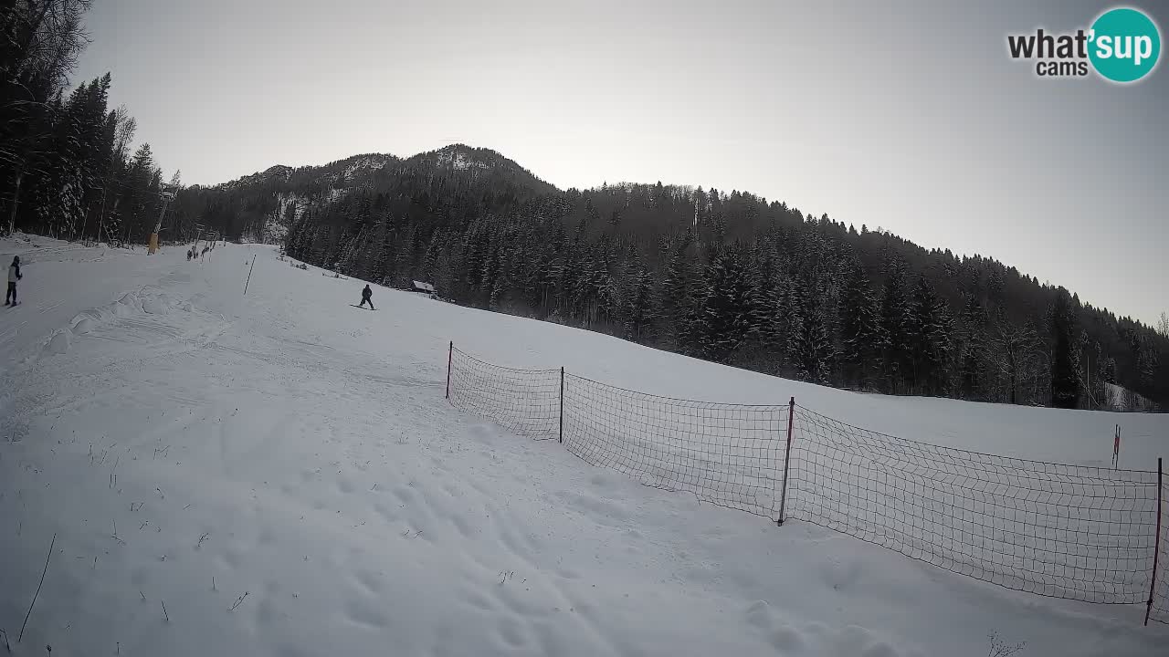 Esquí Kranjska Gora | Brsnina