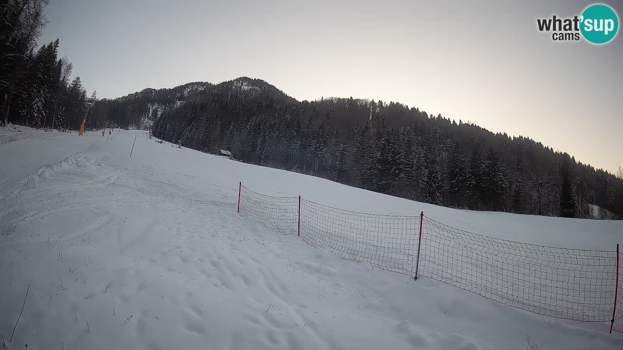 RTC Kranjska Gora | Brsnina