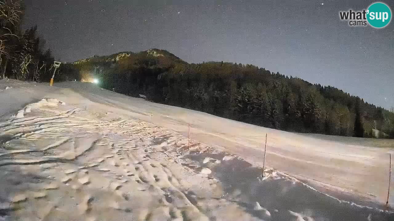 Kranjska Gora Station de ski | Brsnina