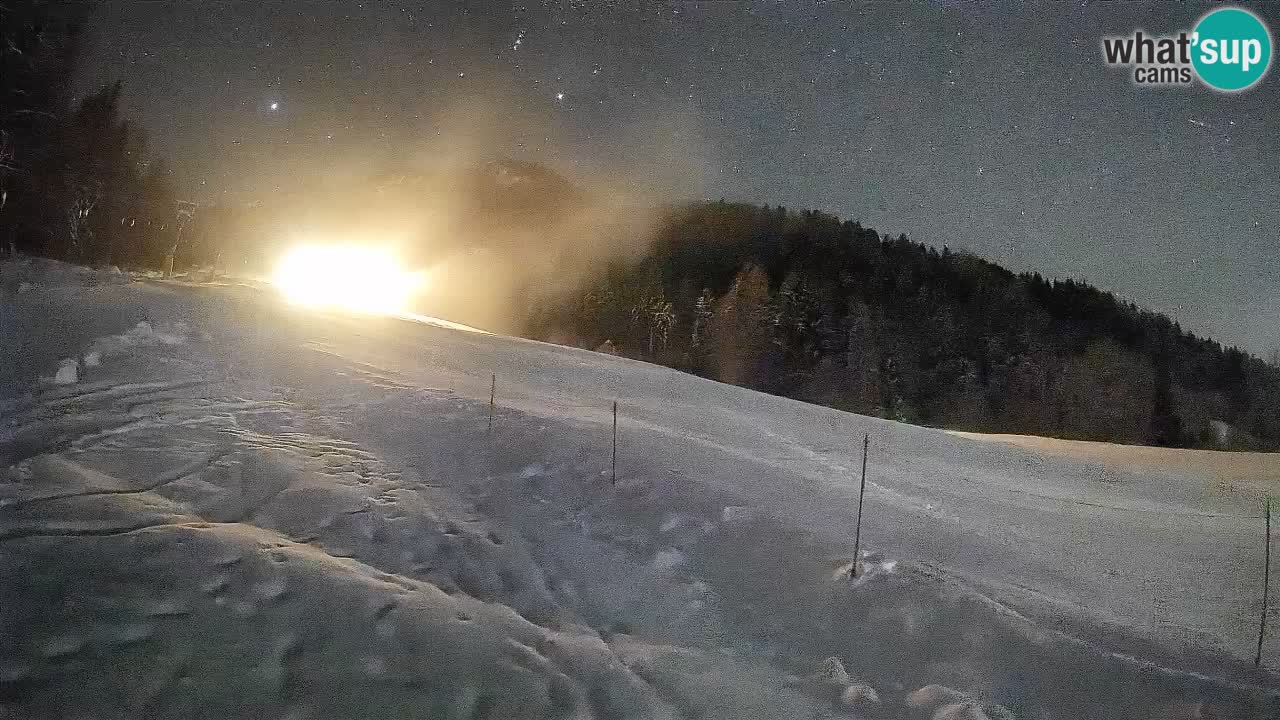 Comprensorio sciistico Kranjska Gora | Brsnina