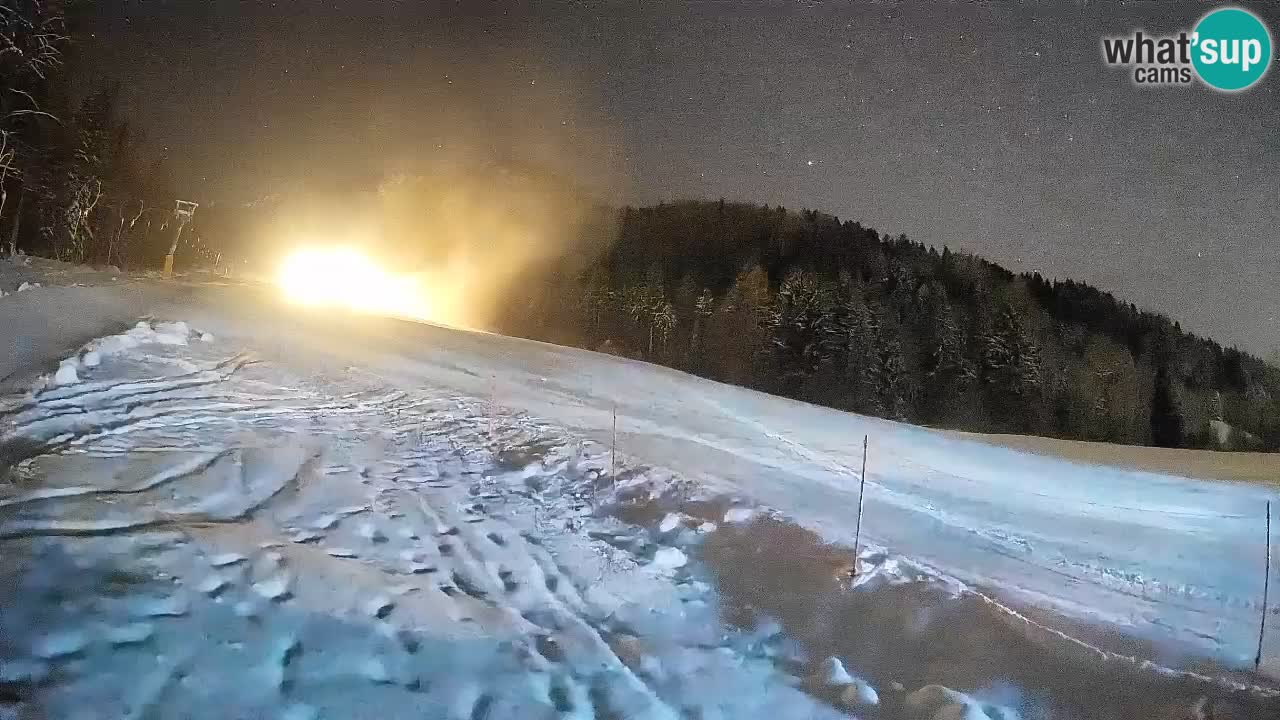 Comprensorio sciistico Kranjska Gora | Brsnina