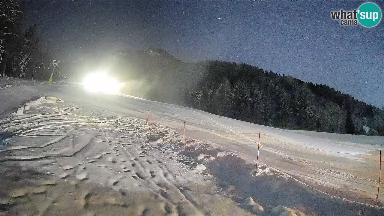 RTC Kranjska Gora | Brsnina