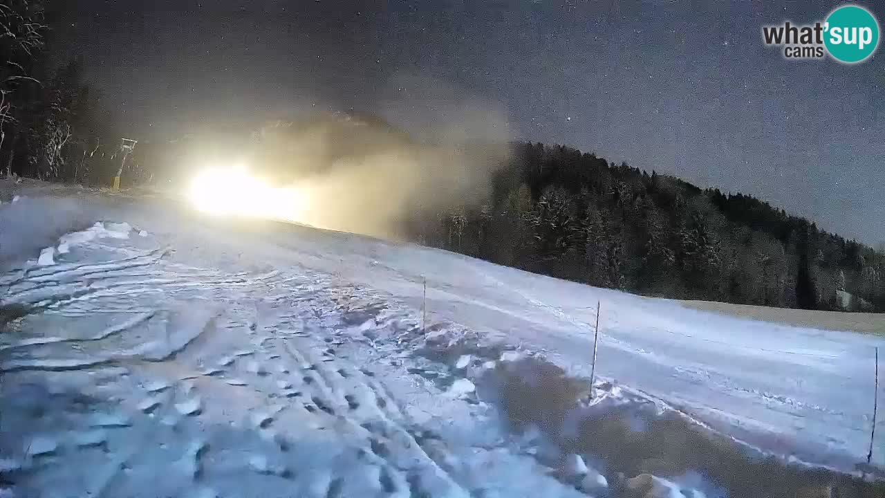 RTC Kranjska Gora | Brsnina