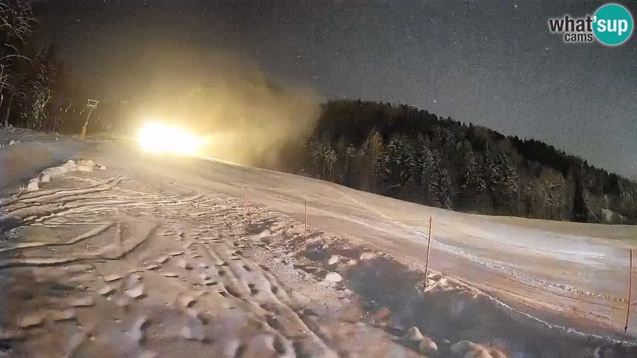 Kranjska Gora Station de ski | Brsnina