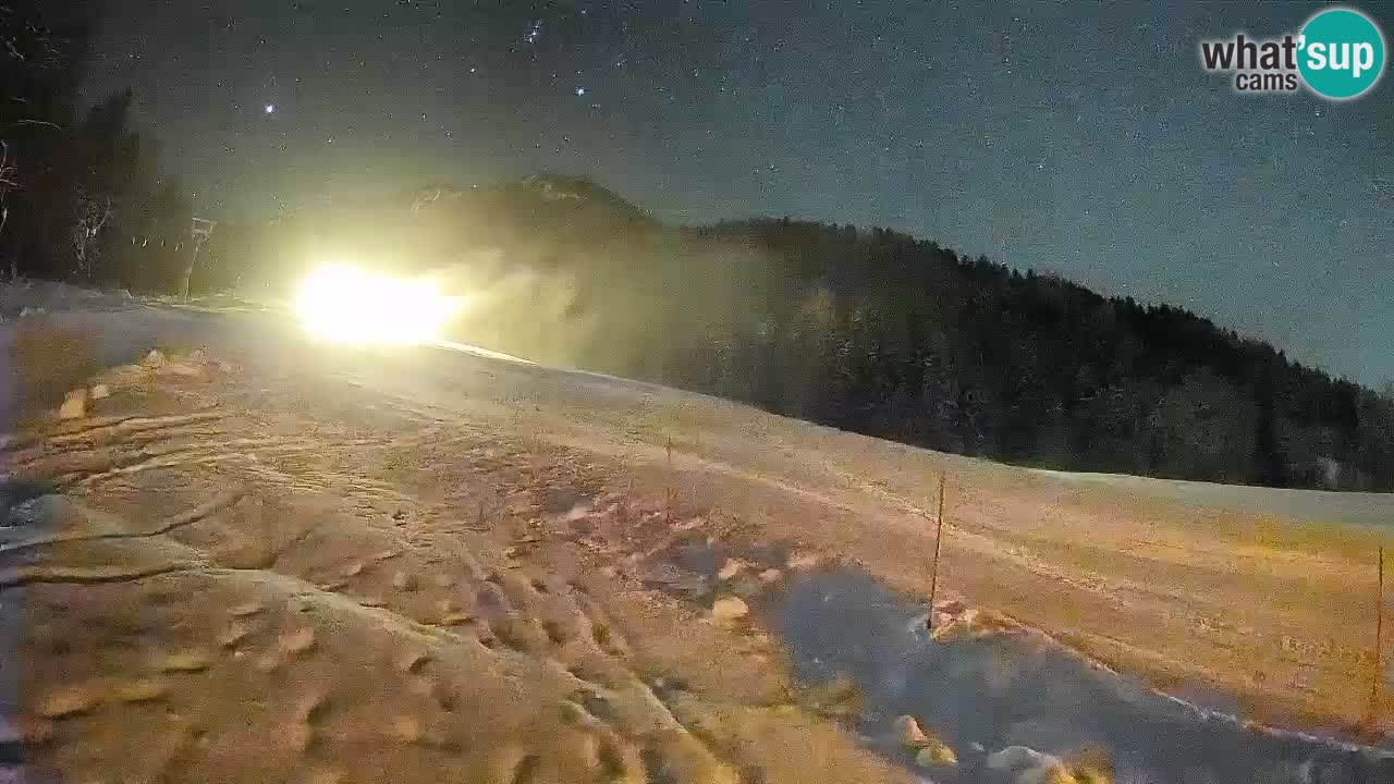 Ski Kranjska Gora | Brsnina