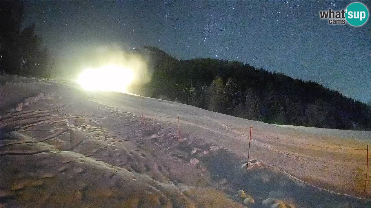 Comprensorio sciistico Kranjska Gora | Brsnina