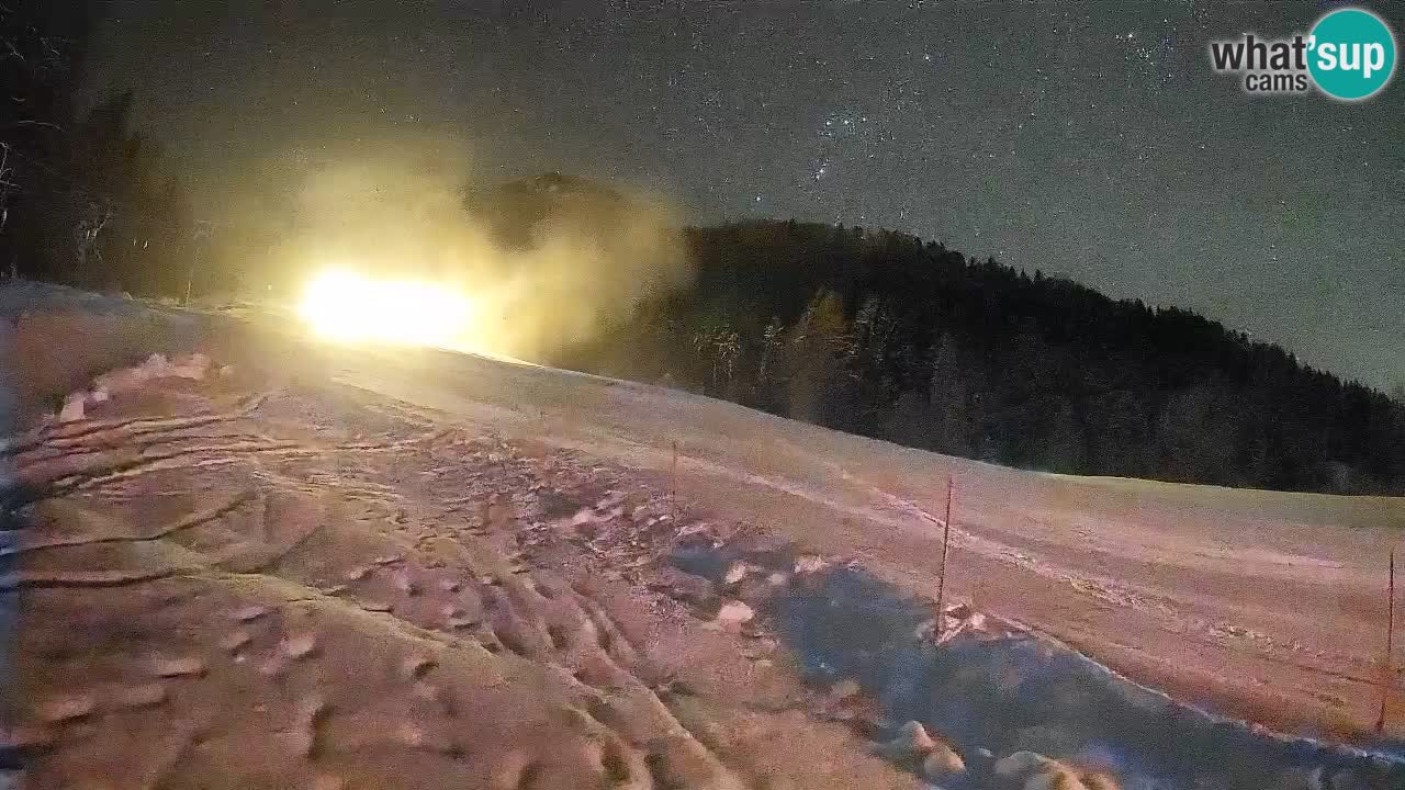 RTC Skigebiet Kranjska Gora | Brsnina