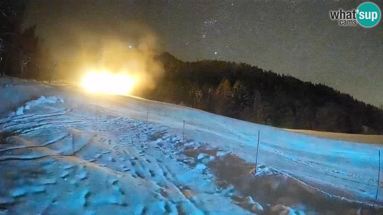 RTC Kranjska Gora | Brsnina