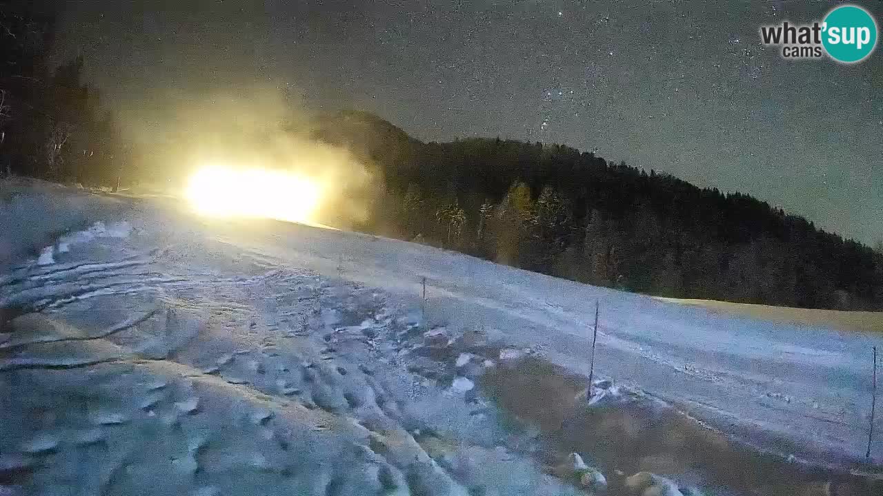 RTC Skigebiet Kranjska Gora | Brsnina