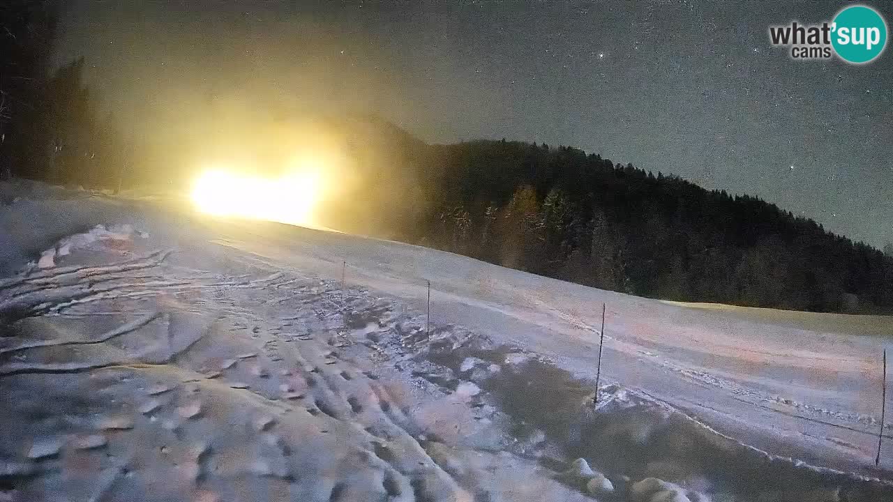 RTC Skigebiet Kranjska Gora | Brsnina