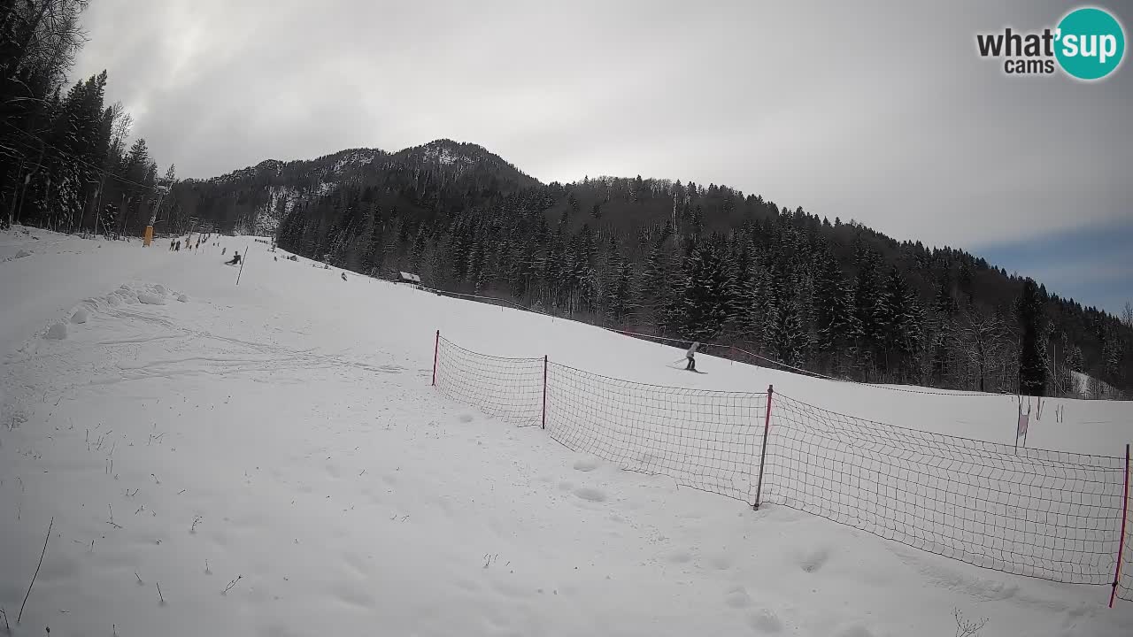 Ski Kranjska Gora | Brsnina