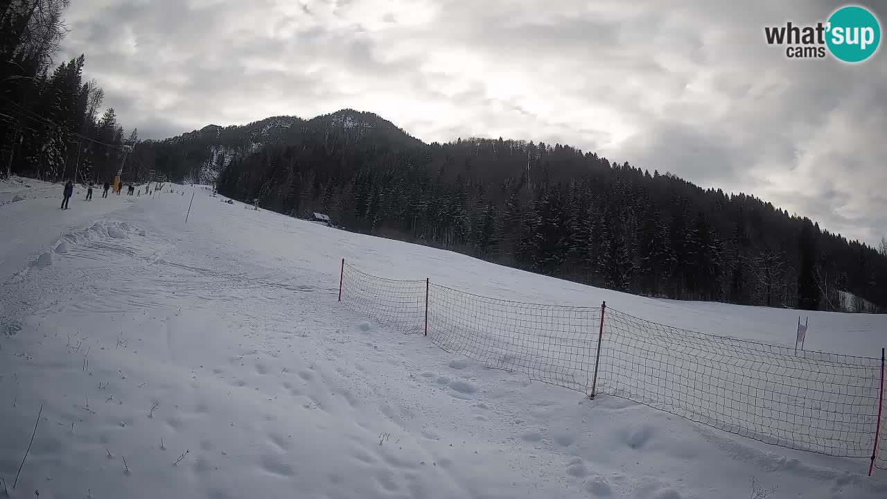 Ski Kranjska Gora | Brsnina