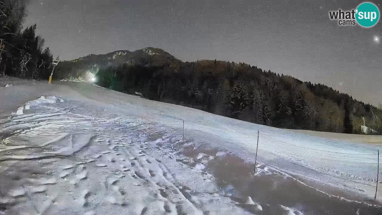 Ski Kranjska Gora | Brsnina