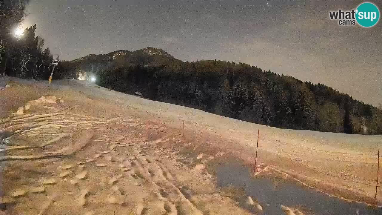 RTC Skigebiet Kranjska Gora | Brsnina