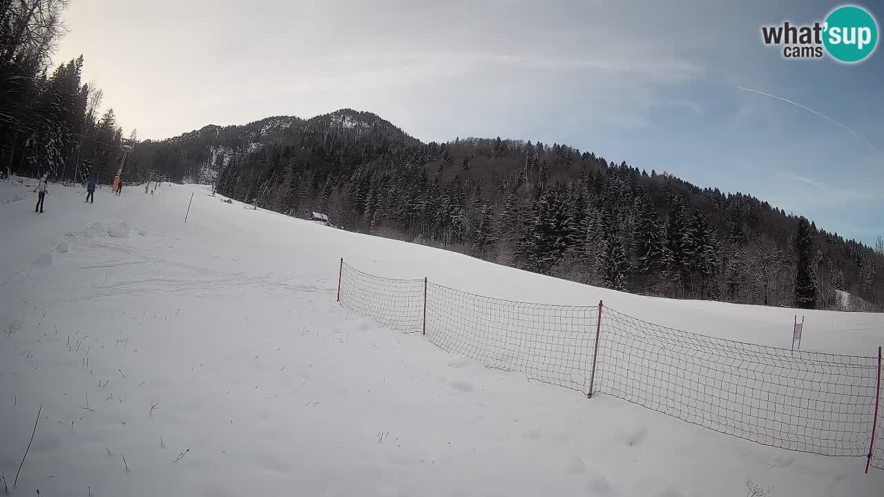 Comprensorio sciistico Kranjska Gora | Brsnina