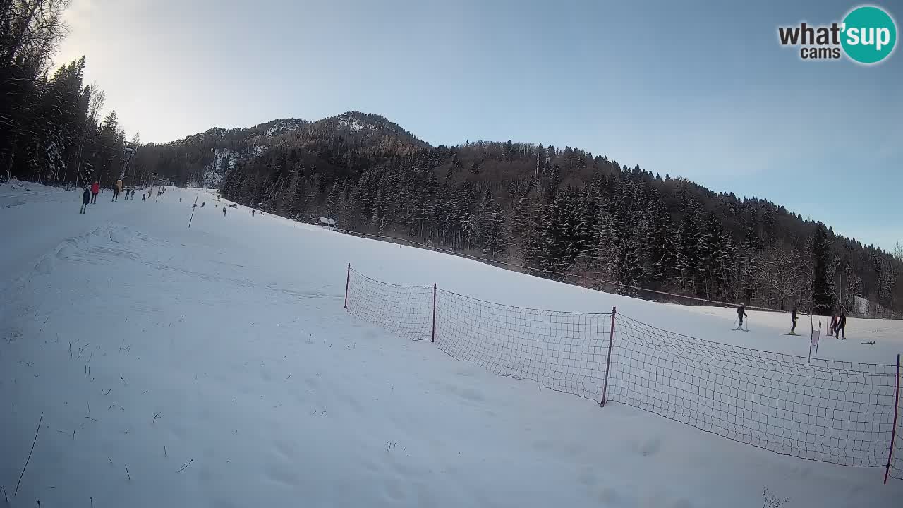 Ski Kranjska Gora | Brsnina