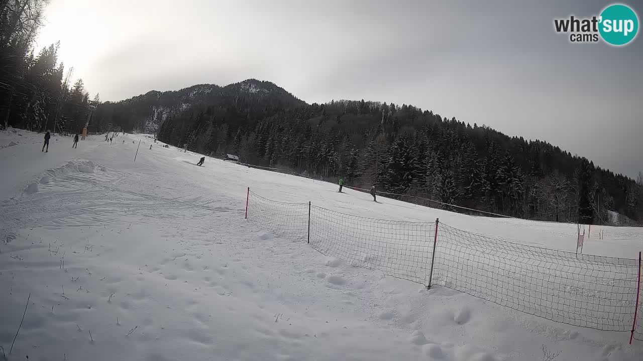 Comprensorio sciistico Kranjska Gora | Brsnina