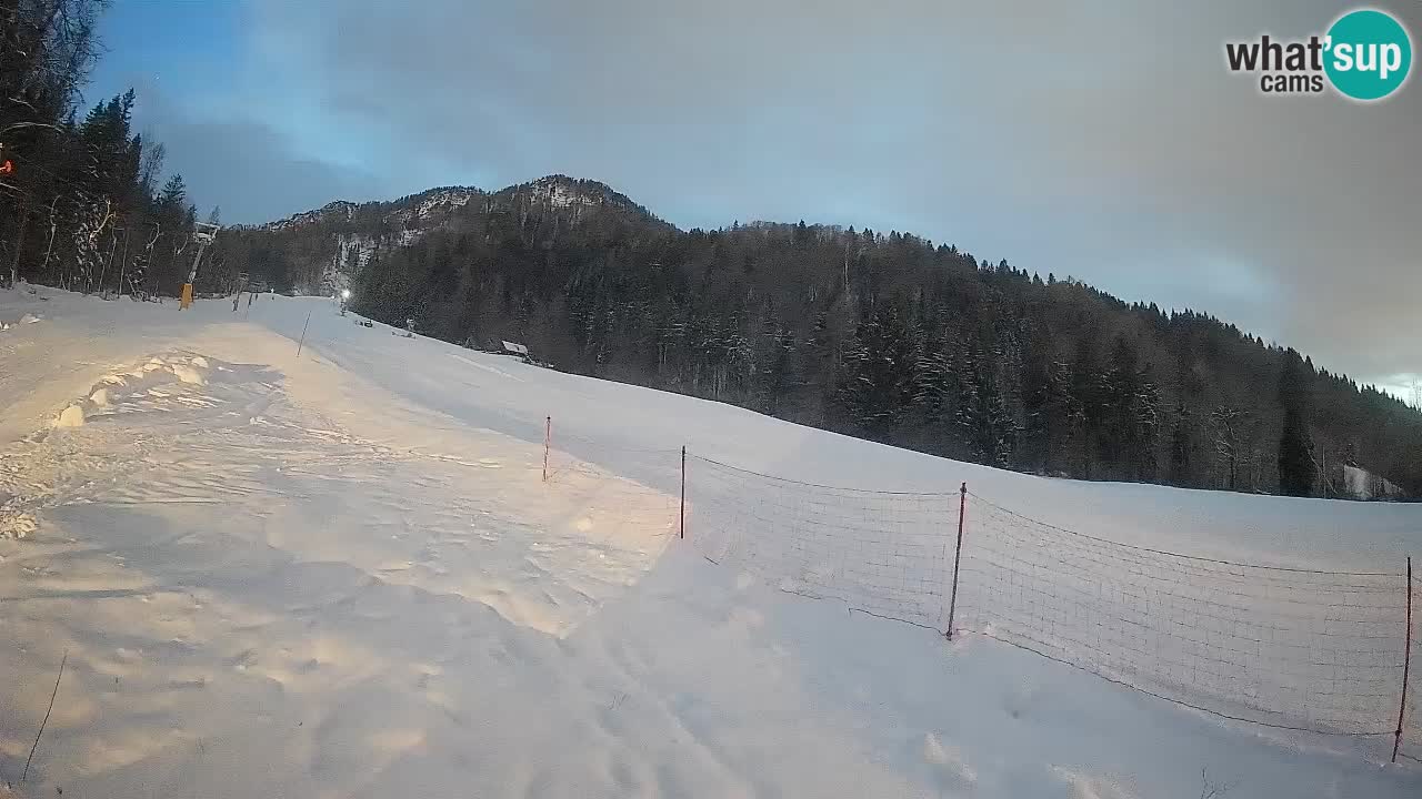 RTC Skigebiet Kranjska Gora | Brsnina