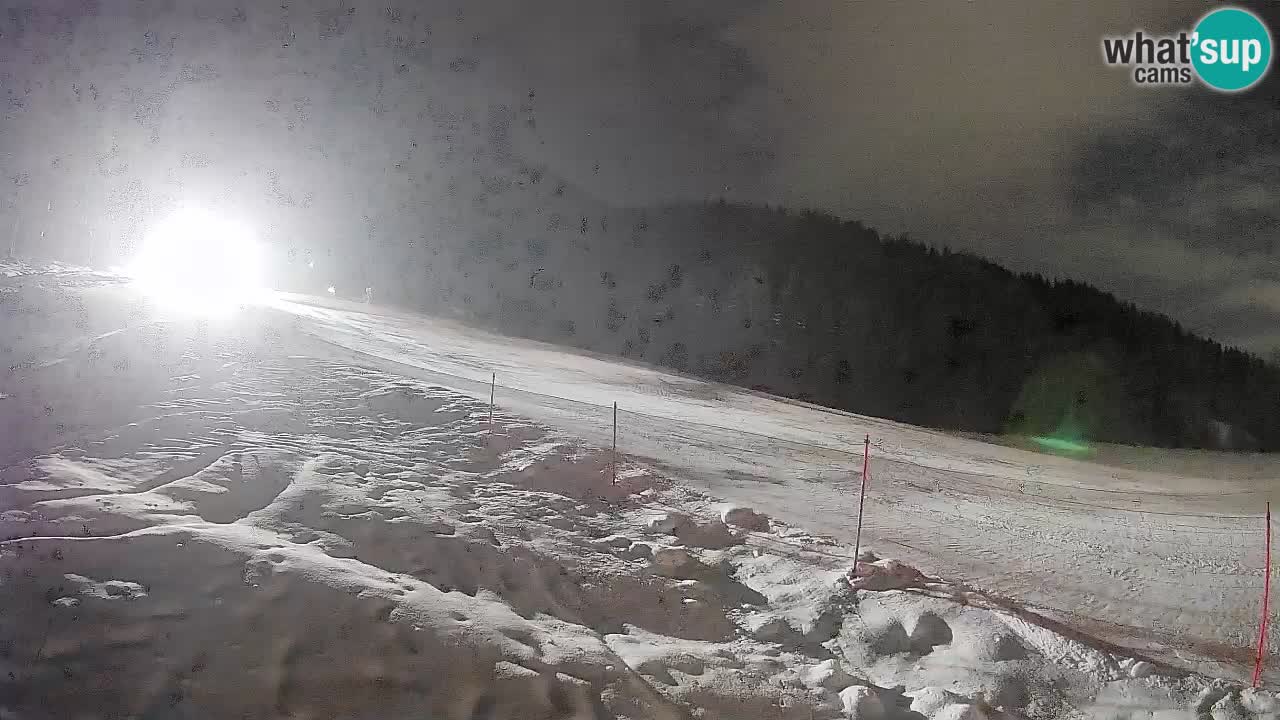 Esquí Kranjska Gora | Brsnina