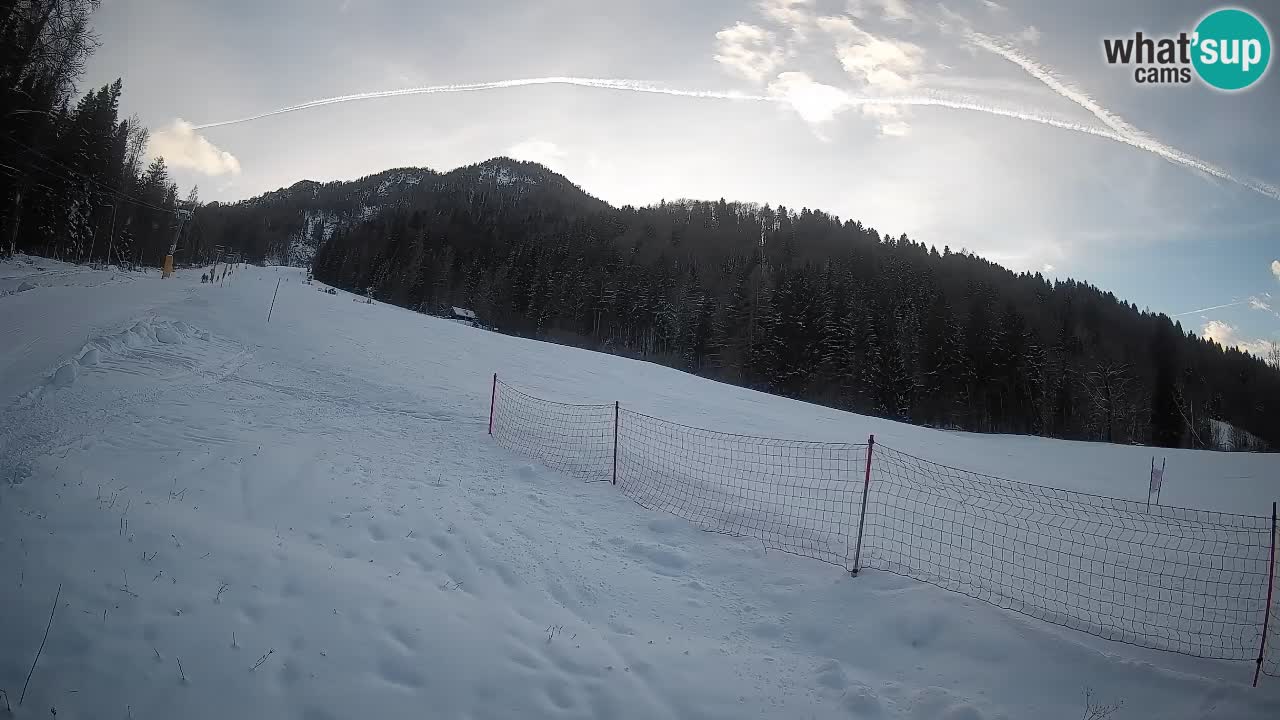 RTC Kranjska Gora | Brsnina