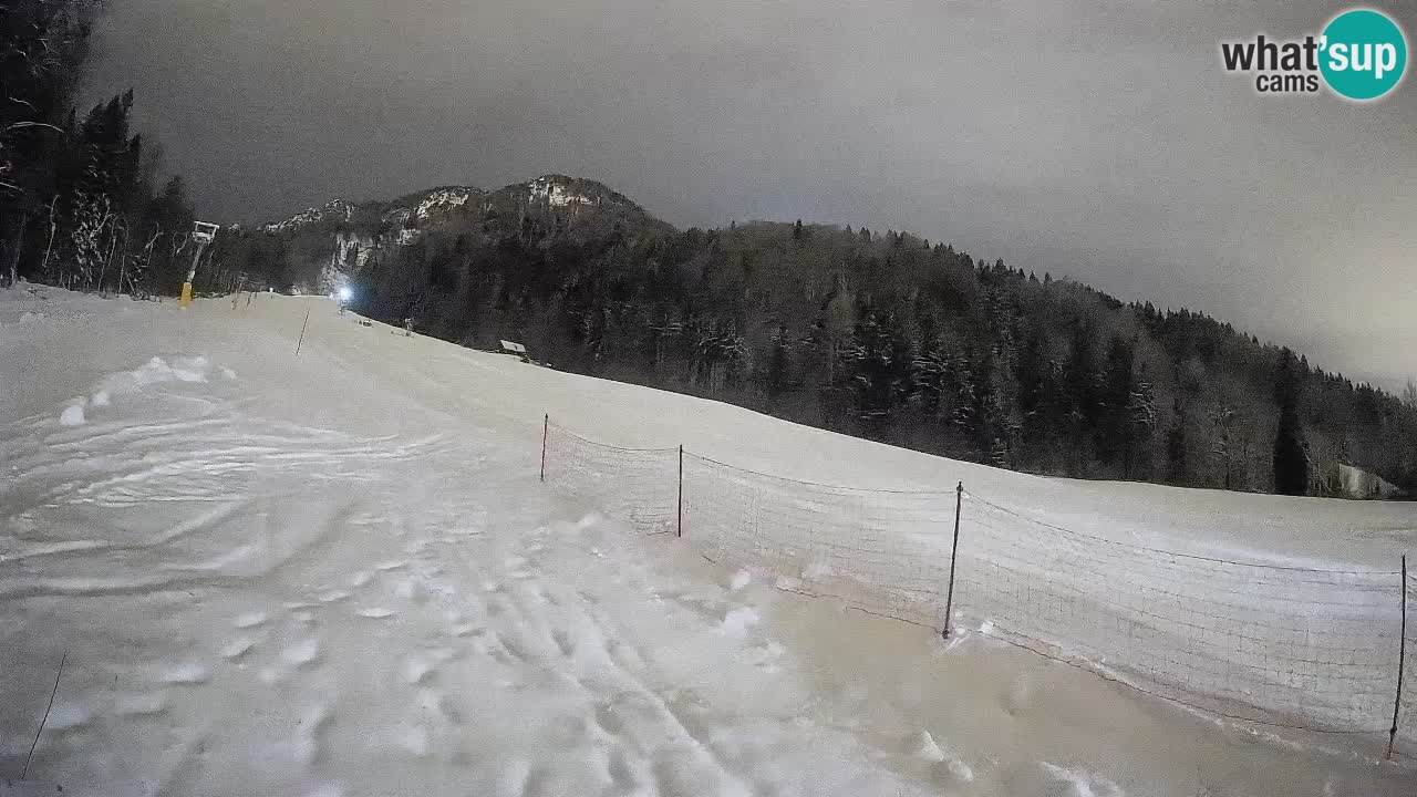 RTC Skigebiet Kranjska Gora | Brsnina