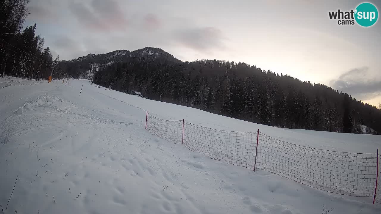 Comprensorio sciistico Kranjska Gora | Brsnina