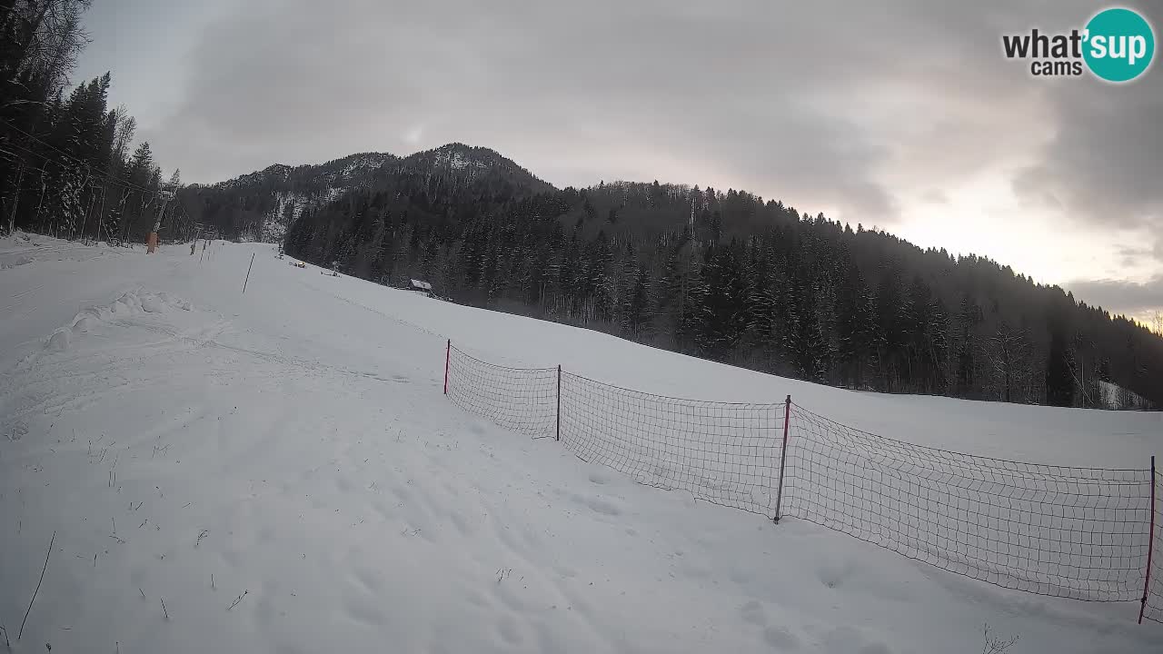 Comprensorio sciistico Kranjska Gora | Brsnina