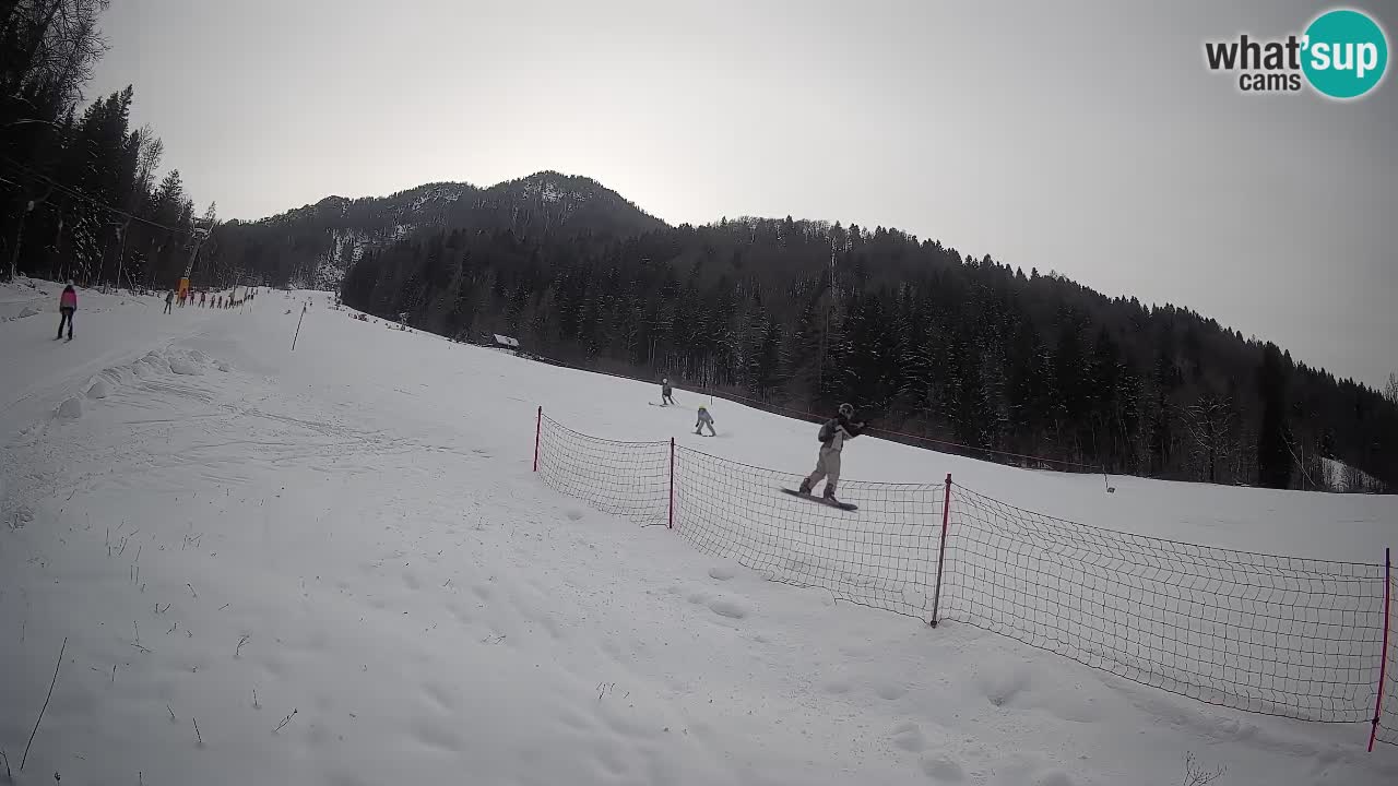 RTC Skigebiet Kranjska Gora | Brsnina