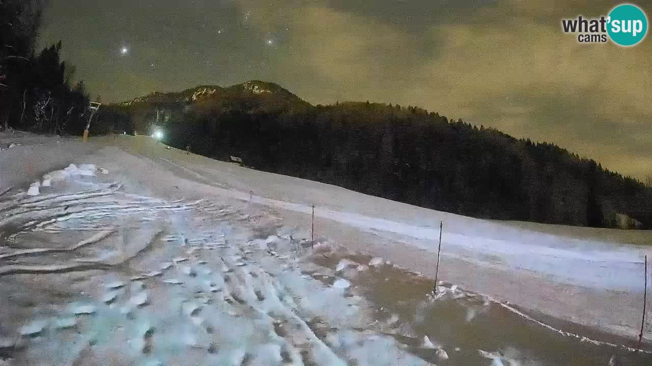 RTC Kranjska Gora | Brsnina