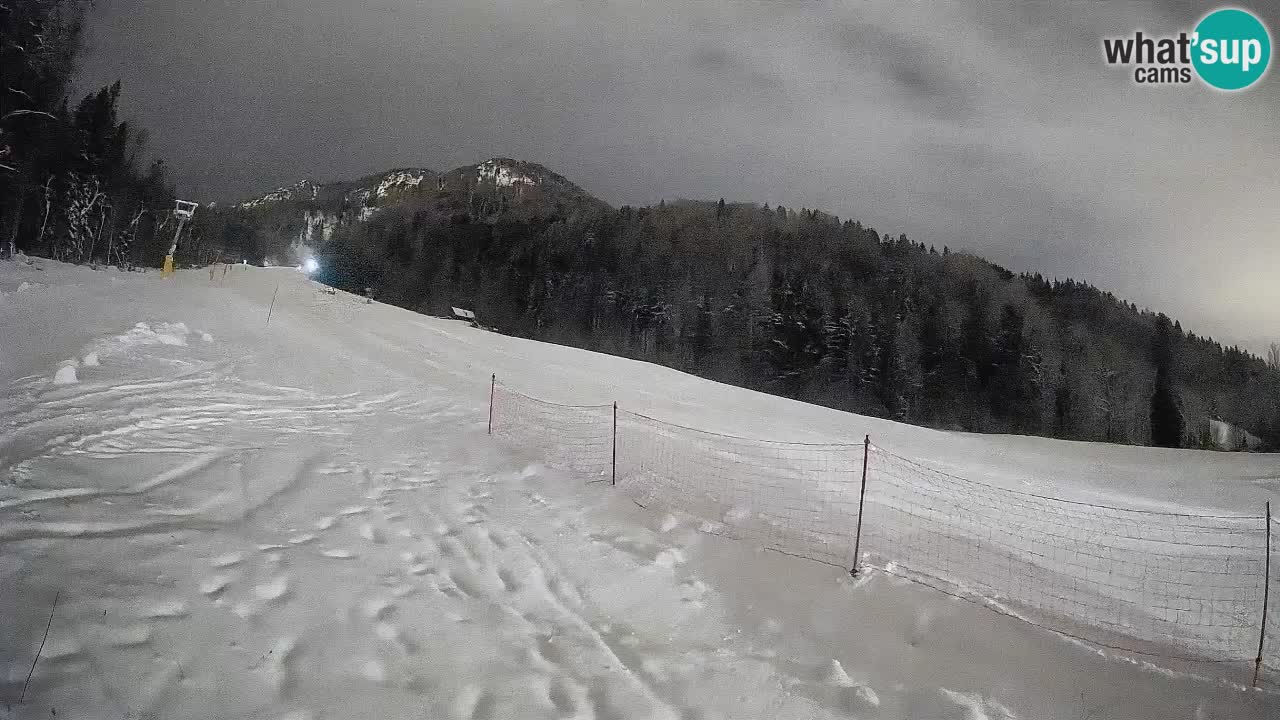 Comprensorio sciistico Kranjska Gora | Brsnina