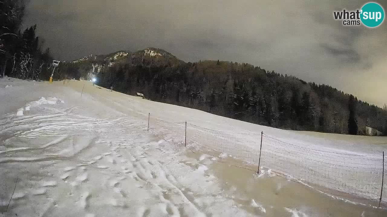 Kranjska Gora Station de ski | Brsnina