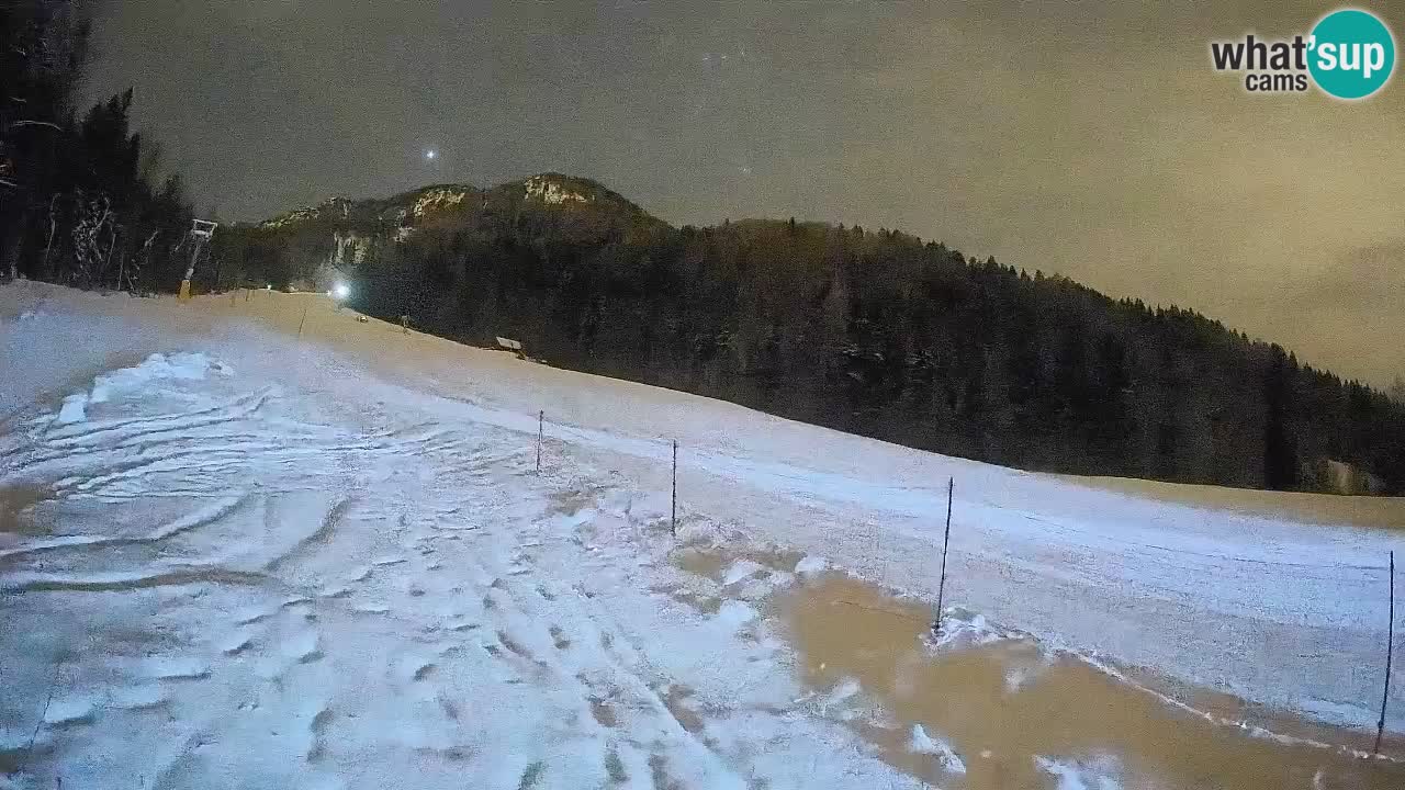 Kranjska Gora Station de ski | Brsnina
