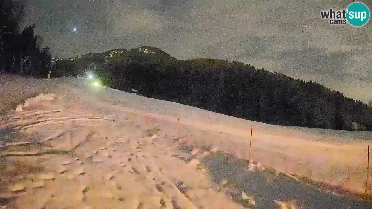 Comprensorio sciistico Kranjska Gora | Brsnina