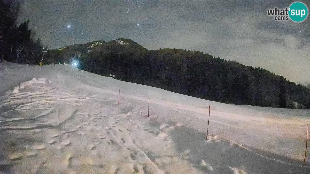 Esquí Kranjska Gora | Brsnina