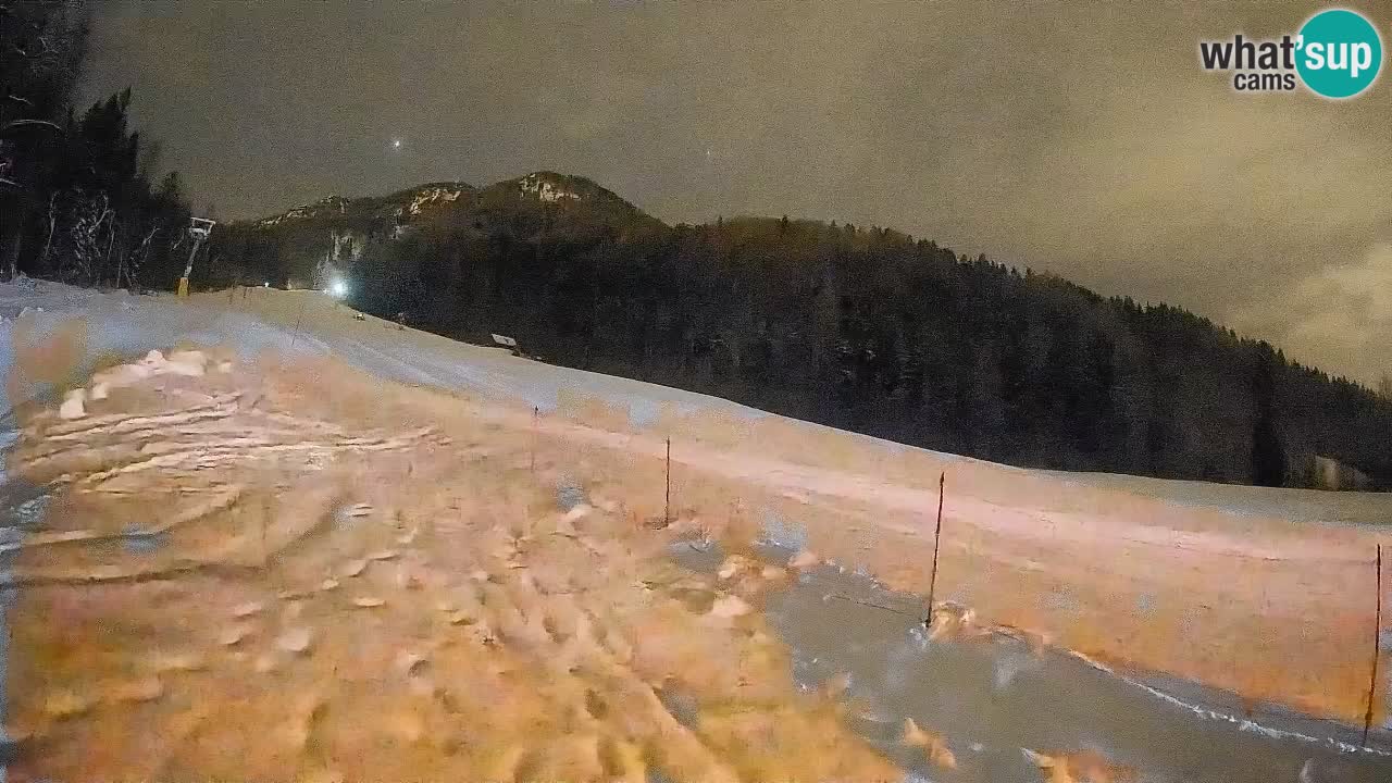 Ski Kranjska Gora | Brsnina