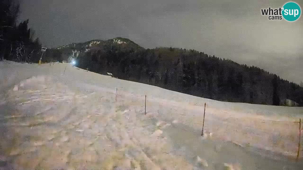 RTC Skigebiet Kranjska Gora | Brsnina