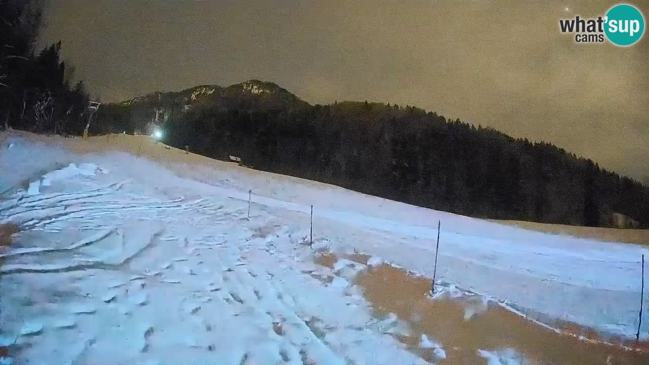 Kranjska Gora Station de ski | Brsnina