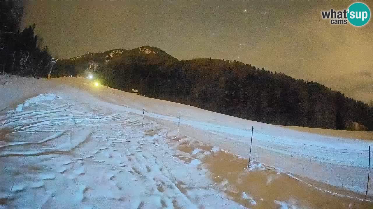 Ski Kranjska Gora | Brsnina