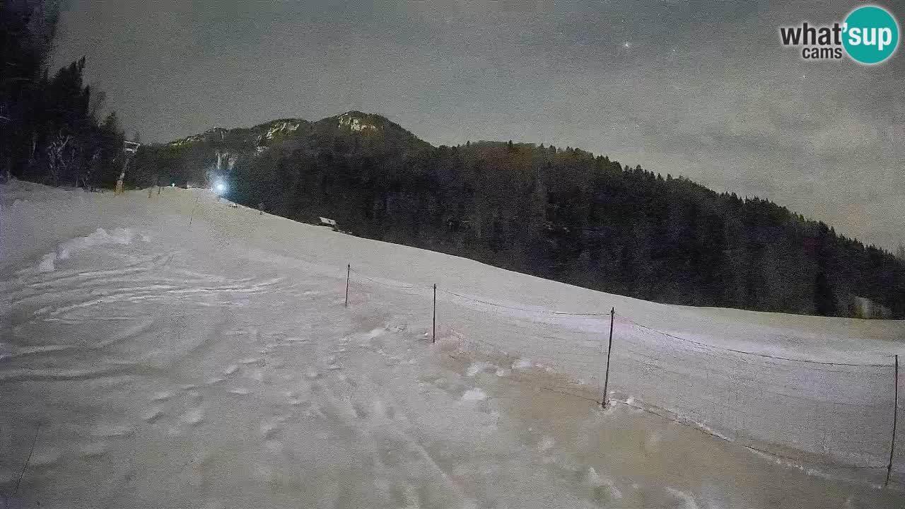 RTC Skigebiet Kranjska Gora | Brsnina
