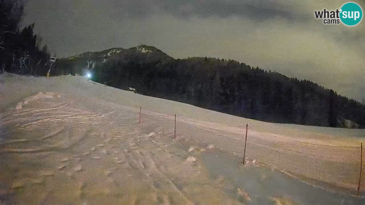 RTC Skigebiet Kranjska Gora | Brsnina