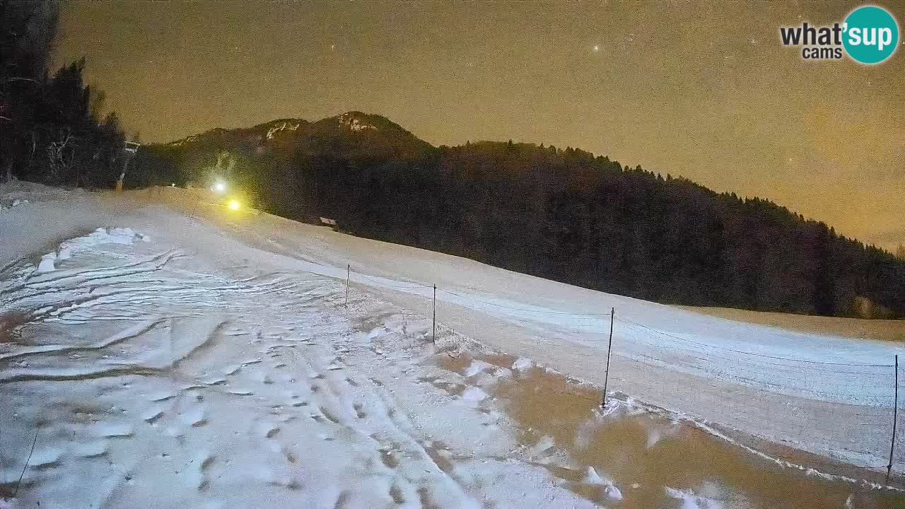 RTC Skigebiet Kranjska Gora | Brsnina